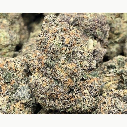 Animal - Lemon Cherry Cake - Hybrid - 30.4% THC - 1