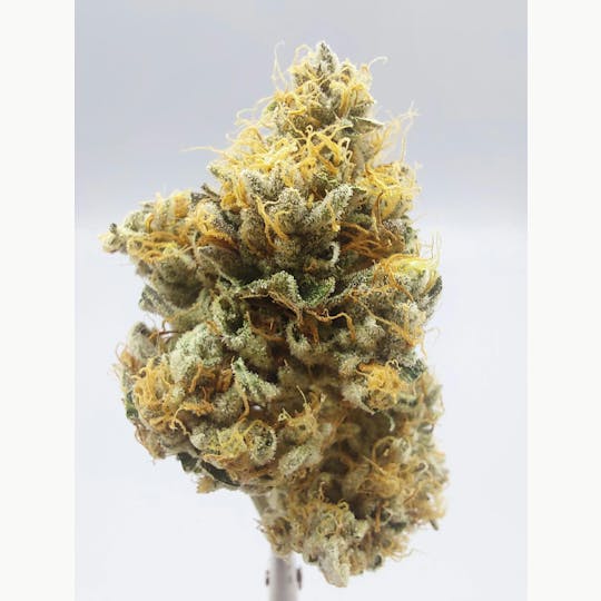 Ripple Wellness - Flower - Tier 3 - D-95 #4 - 1