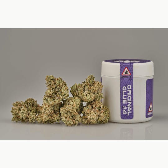 Ripple Wellness - Flower - Tier 2 - Original Glue #4 - 1