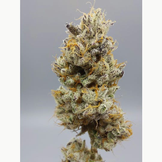 Ripple Wellness - Flower - Tier 2 - PB Soufflé #1 - 1