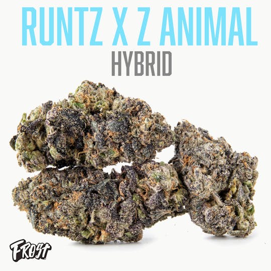 Frost - Runtz x Animal (Hybrid 36% THC) - 1