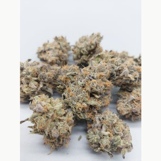 Ripple Wellness - Flower - Tier 1 - Dozi - Zo'z #7 - 1