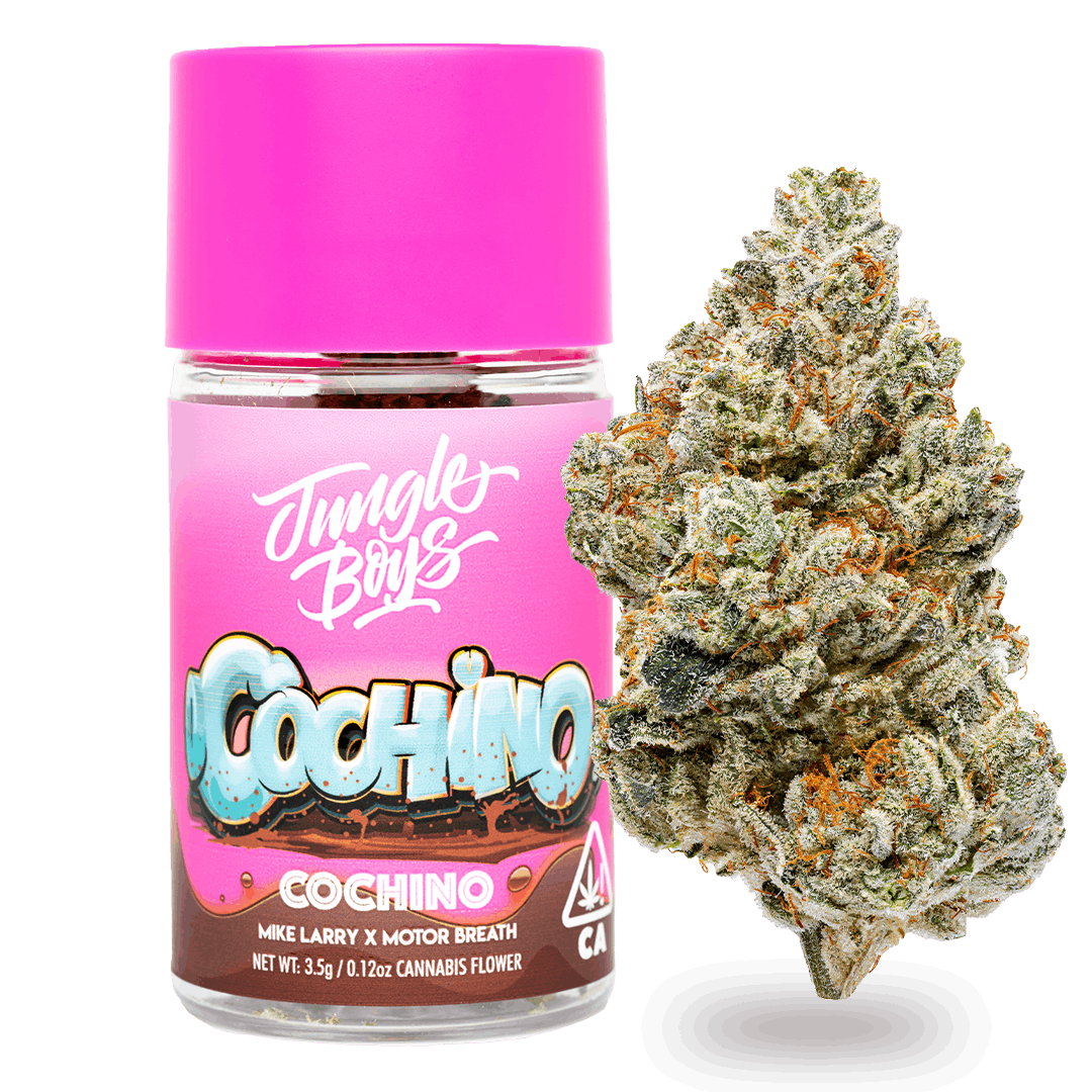 Jungle Boys - Jungle Boys | Cochino - 3.5g Flower Jar - 1