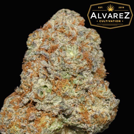 Alvarez Cultivation - White Fire - 1