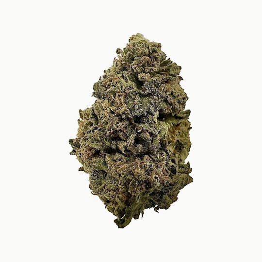 Indico - Panama Red- $100 oz! - 1