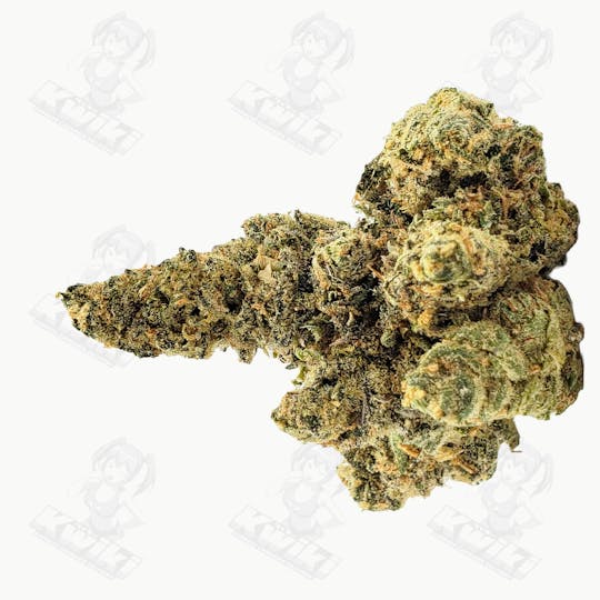 Oro - DUTCH TREAT *EXOTIC* - 1