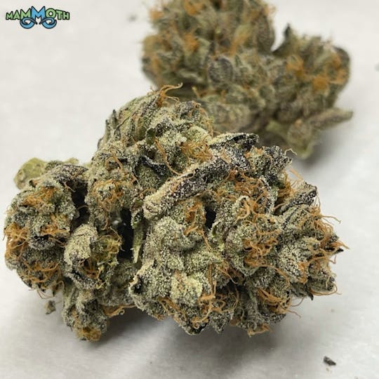 Mammoth Inc - Animal Gas 1g Preroll - 1