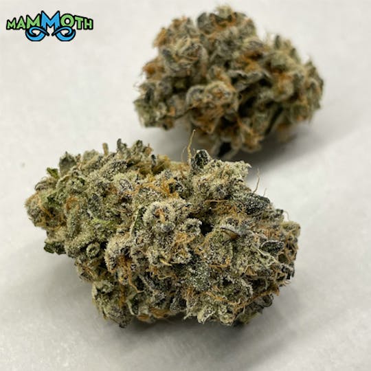 Mammoth Inc - Animal Mints 3.5g - 1