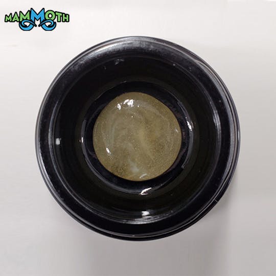 Mammoth Inc - Animal Mints Live Rosin Coin - 1