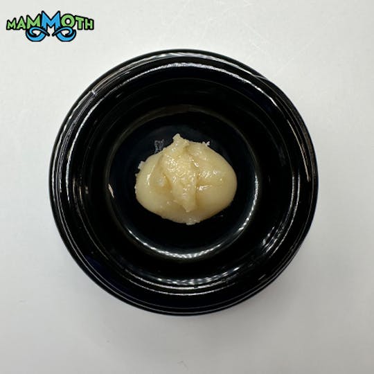 Mammoth Inc - Cap Junky Live Roisn Batter - 1