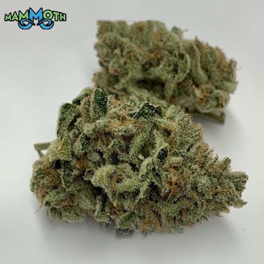 Mammoth Inc - Green Fire OG 1g Preroll - 1