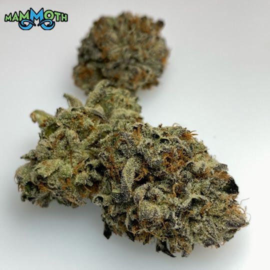 Mammoth Inc - Purple Chem 1g Preroll - 1