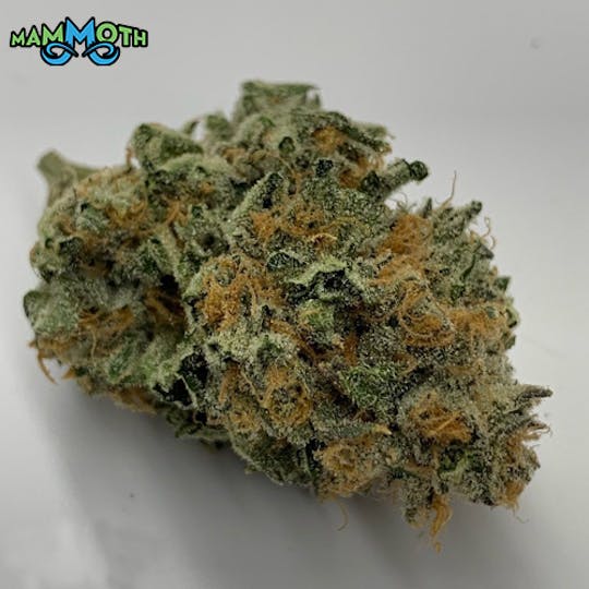 Mammoth Inc - Watermelon Zkittlez - 1