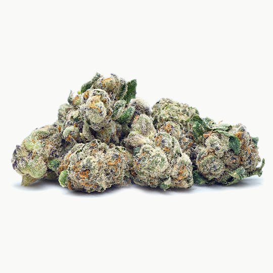 High Tide Organics - Tropical Runtz Small Buds | Indoor 14g - 1