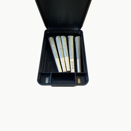 Rugged Roots - Rugged Roots - Sherbanger 0.5g Pre Roll 5 Pack - 1