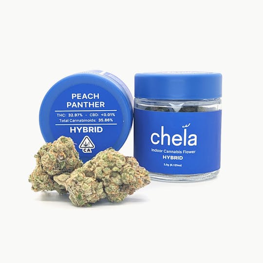 Chela - Chela - Indoor - Peach Panther - 1