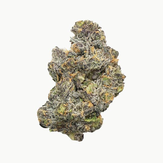 Shaman Dreams Wellness - Platinum Cherry Gelato - 1