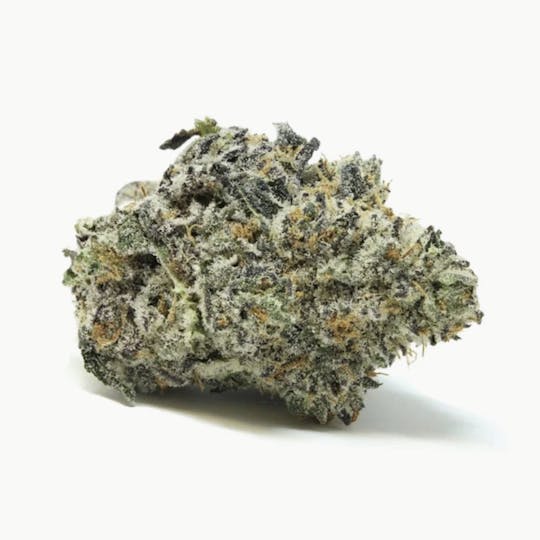 Shaman Dreams Wellness - Jet Fuel Gelato - 1