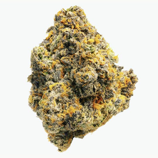 Shaman Dreams Wellness - RS #11 - 1