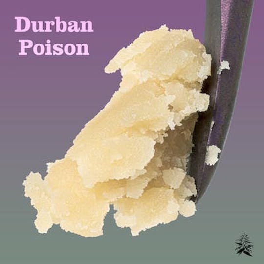 Hazy Hill Farm - Durban Poison Cold Cure Live Rosin - 1