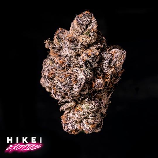 Hikei Exotics - Runtz X Jealousy Eightr 3.5g - 1