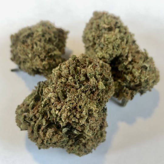 Daedalus Craft Cannabis - $100 Ounce of the Day - Lemon Jack - 1