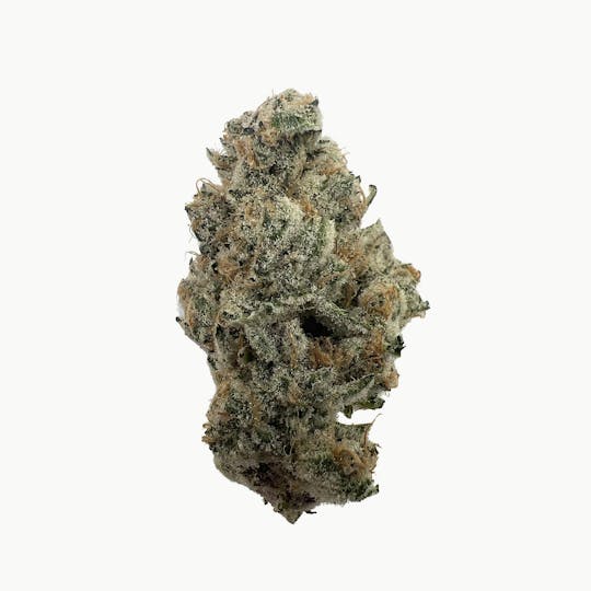 Indico - Super Boof - Indico - 1