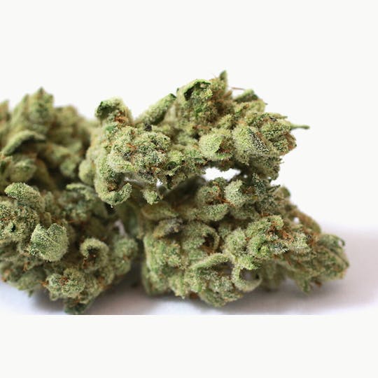 Daedalus Craft Cannabis - $100 Ounce of the Day - Gorilla Glue - 1