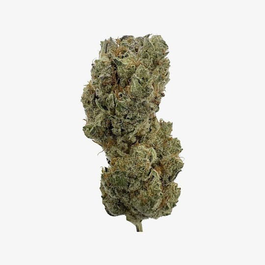 Indico - Ice Cream Candy -100 oz! - 1