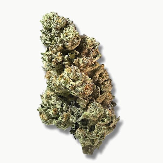 Smoakland - Exotix - Oreoz (H) - 14g - 1