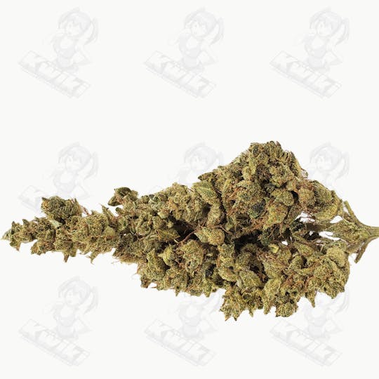 Oro - VIPER OG *SUNGROWN* - 1