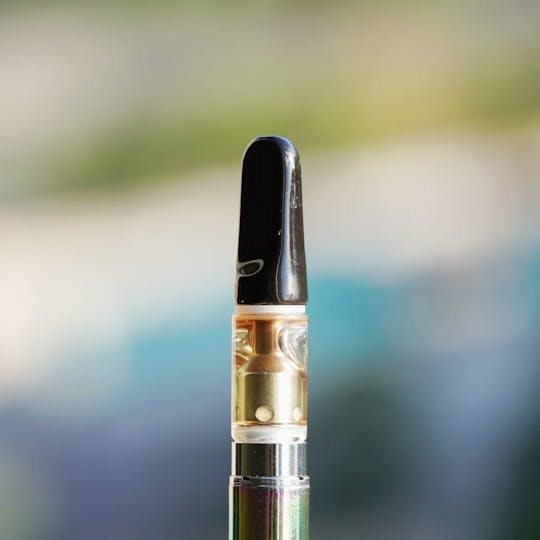 PONO LIFE MAUI - Dutch 99 - 1