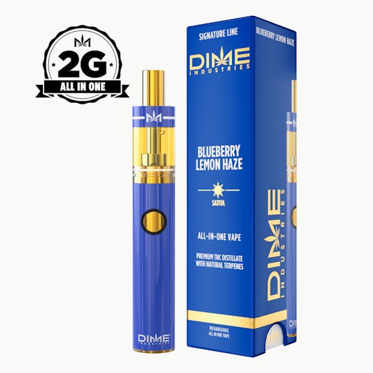 Dime Industries - Blueberry Lemon Haze 2G All in One Device - 1