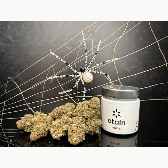 Etain - Forte Whole Flower - White Widow (WW) - 1