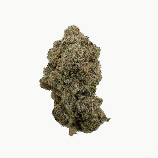 Indico - Zebra Cake -Indico - 1