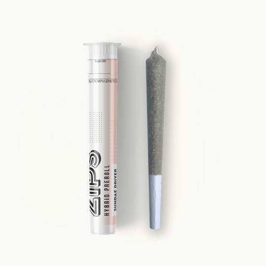 Crown Genetics - Zips Sundae Driver Single Preroll - 1