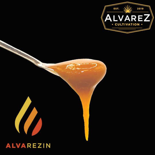 Alvarez Cultivation - TK43 Live Applesauce - 13.94% Terps - 1