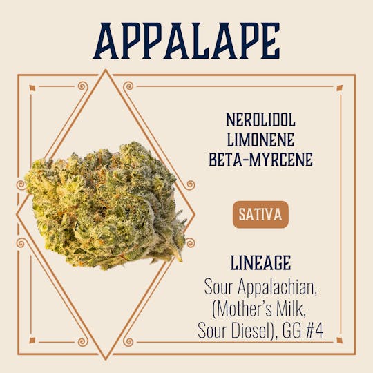 Elevate Missouri - Appal Ape - 3.5g - 1