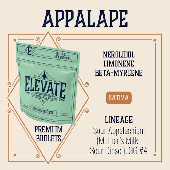 Elevate Missouri - Appal Ape - 7g Budlets - 1