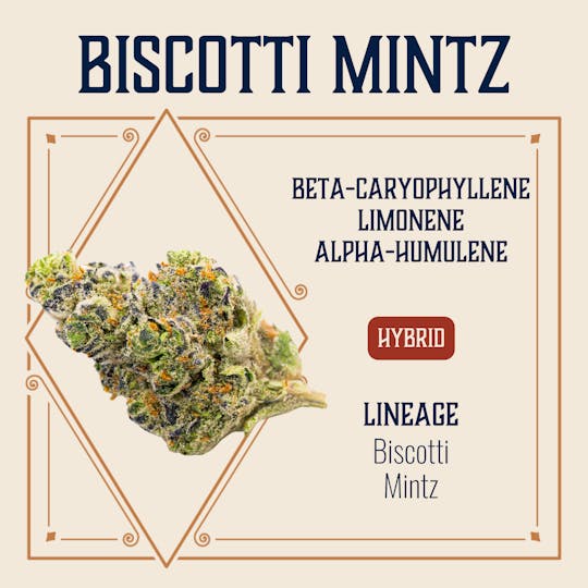 Elevate Missouri - Biscotti Mintz - 3.5g - 1