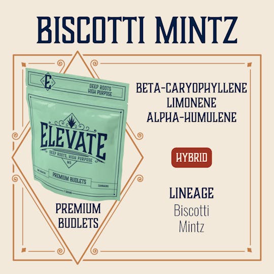 Elevate Missouri - Biscotti Mintz - 7g Budlets - 1