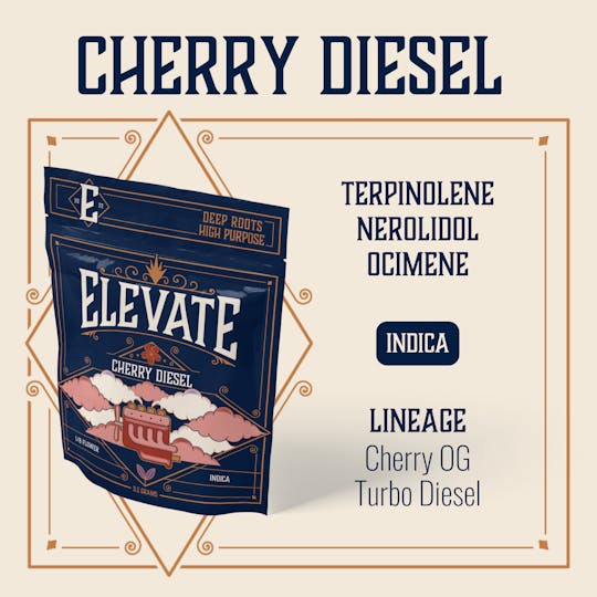 Elevate Missouri - Cherry Diesel - 14g - 1