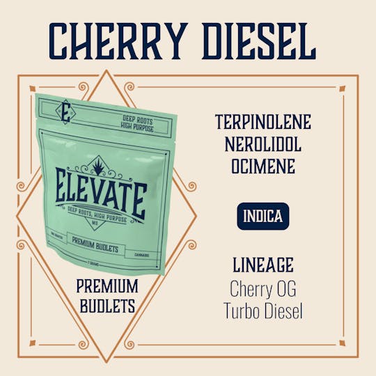 Elevate Missouri - Cherry Diesel - 7g Budlets - 1