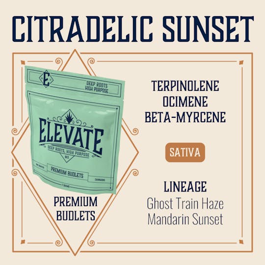 Elevate Missouri - Citradelic Sunset - 7g Budlets - 1