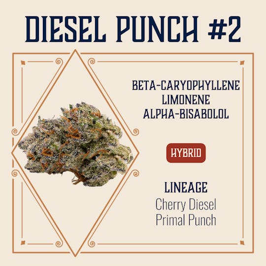 Elevate Missouri - Diesel Punch #2 - 14g - 1