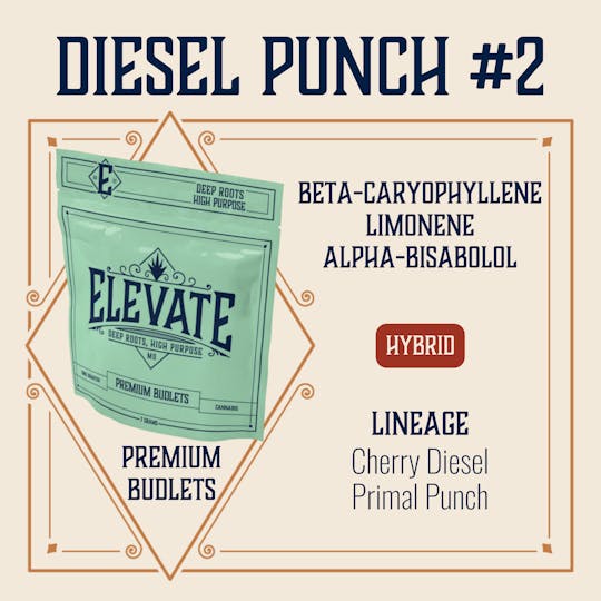 Elevate Missouri - Diesel Punch #2 - 7g Budlets - 1