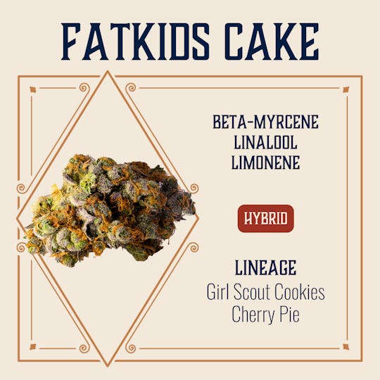 Elevate Missouri - Fatkids Cake - 3.5g - 1