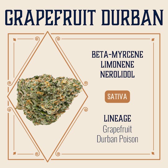 Elevate Missouri - Grapefruit Durban - 3.5g - 1