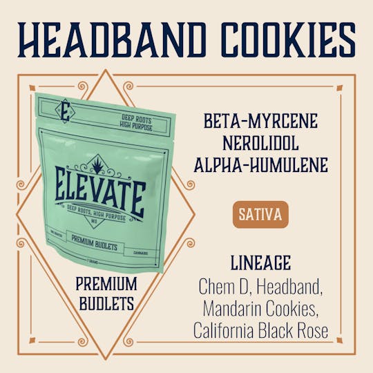 Elevate Missouri - Headband Cookies - 7g Budlets - 1