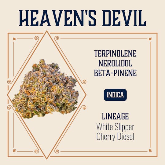 Elevate Missouri - Heaven's Devil - 14g - 1